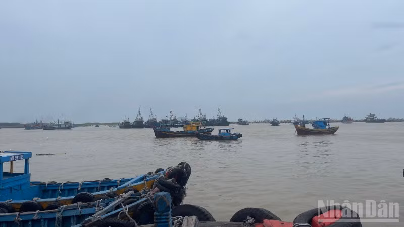 Nhiều tàu cá vào cảng cá La Gi.