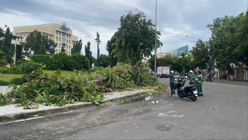 Cây xanh đổ trên đường Trần Hưng Đạo. Cây xanh đổ trên đường Trần Hưng Đạo.