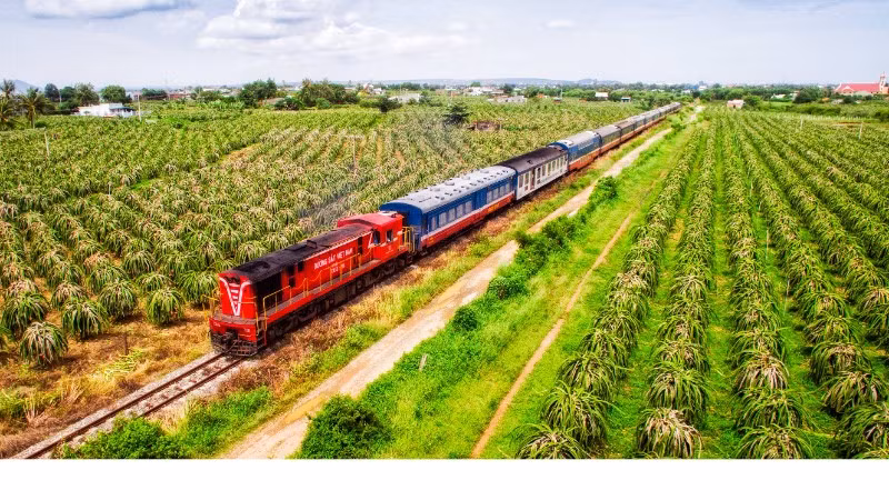 Phát triển các tour đường bộ đến Lâm Đồng.