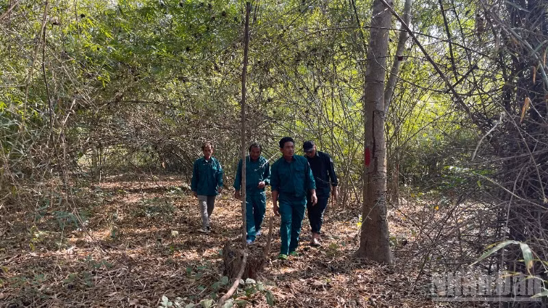 Lực lượng bảo vệ rừng đi tuần tra.