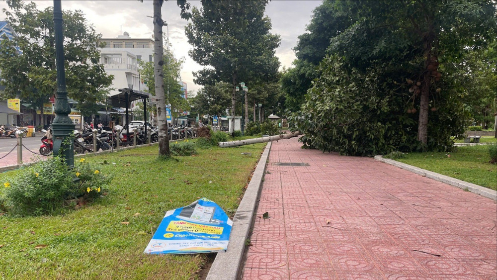 Cây xanh trong công viên Võ Văn Kiệt (phường Phú Thuỷ) bật gốc. Cây xanh trong công viên Võ Văn Kiệt (phường Phú Thuỷ) bật gốc.
