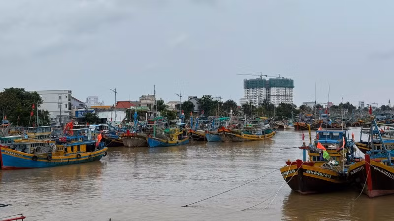 Tàu cá neo đậu trên sông Cà Ty tránh bão.