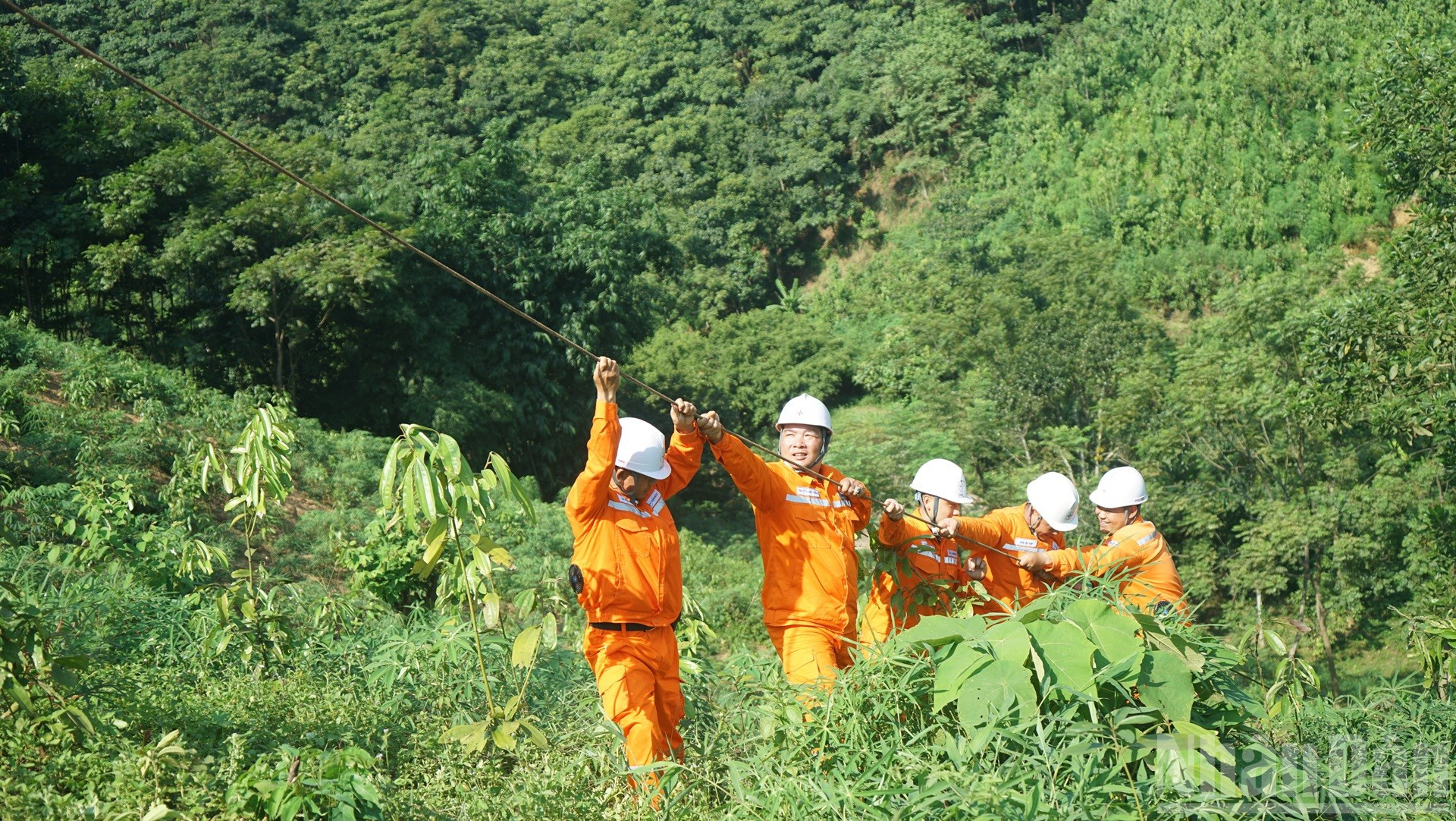 Tại nhiều vị trí hiểm trở, công nhân phải căng dây trong điều kiện gió mạnh và mưa rải rác. Việc thi công yêu cầu bảo đảm tuyệt đối an toàn, đồng thời vẫn giữ vững tiến độ. (Ảnh: TRUNG HƯNG) ndo_br_dsc02365.jpg