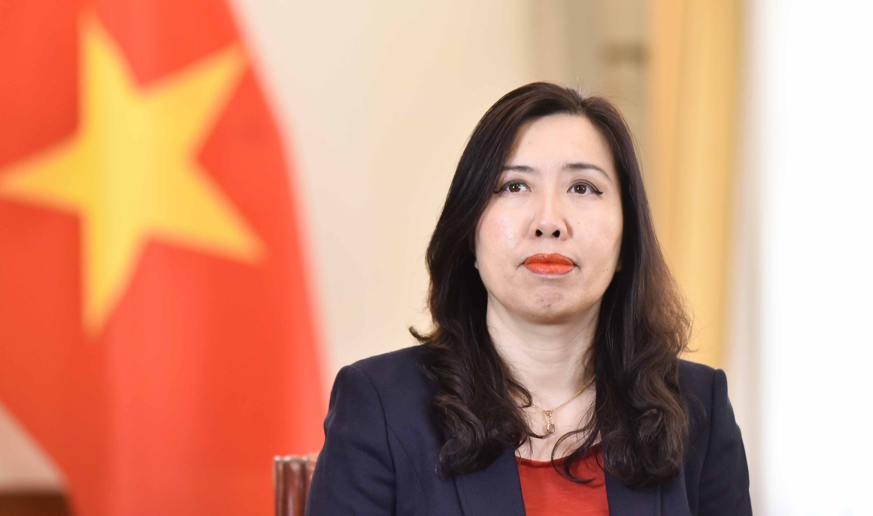 Thứ trưởng Ngoại giao Lê Thị Thu Hằng. (Ảnh: Bộ Ngoại giao) img-3a9b271b059aa9b732cb0030119f1ebb-v.jpg