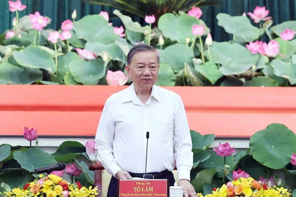 Tổng Bí thư Tô Lâm chủ trì buổi làm việc. (Ảnh: THỐNG NHẤT-TTXVN)