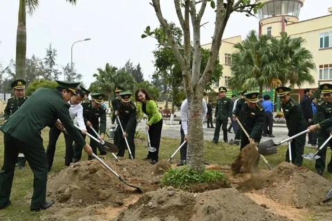 Các đại biểu tham gia trồng cây sau lễ phát động.
