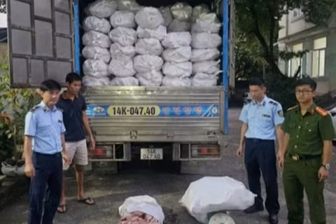 Lực lượng chức năng bắt giữ 12.240kg chân lợn đông lạnh không rõ nguồn gốc.