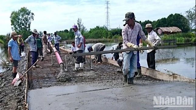 Cà Mau: Giá Vật Liệu Xây Dựng Tăng 40%, Doanh Nghiệp Đối Mặt Nguy Cơ Thua Lỗ Nặng