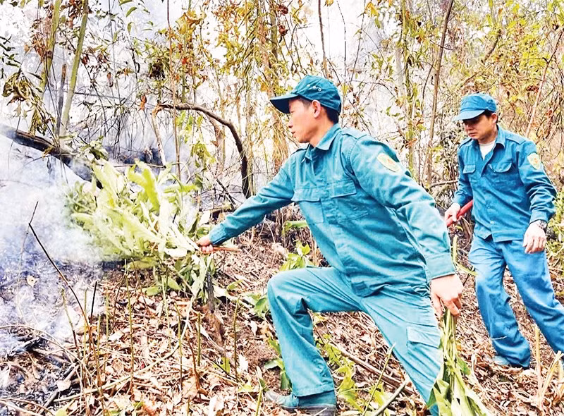 Lực lượng kiểm lâm tỉnh Thái Nguyên thường xuyên diễn tập phòng cháy, chữa cháy rừng.