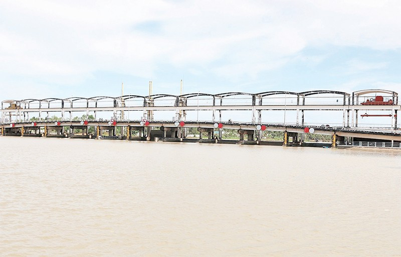 Cống thủy lợi Láng Thé, xã Nhị Long, tỉnh Vĩnh Long đóng cửa hoàn toàn khi độ mặn xấp xỉ 1‰. cl6.jpg