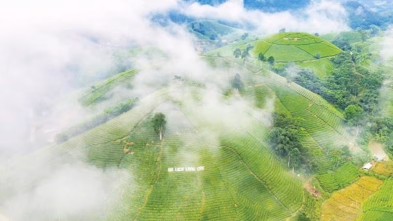 Xã Long Cốc đang tập trung hỗ trợ phát triển vùng chè gắn với du lịch sinh thái, du lịch cộng đồng.