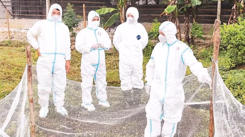 Cán bộ Sở Nông nghiệp và Môi trường kiểm tra công tác phòng, chống dịch cúm gia cầm H5N1 tại xã Việt Lâm.