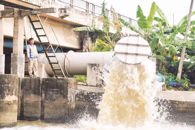 Vận hành hệ thống thủy lợi ngăn mặn, trữ ngọt phục vụ sản xuất nông nghiệp trên địa bàn Tây Ninh.