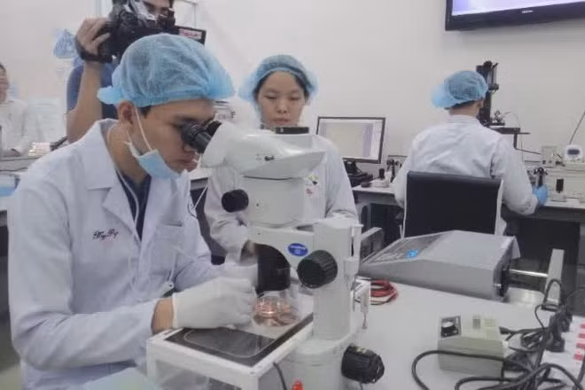 Hoạt động nghiên cứu khoa học tại Đại học Quốc gia Thành phố Hồ Chí Minh.