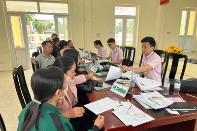 Nguồn vốn vay ưu đãi giúp nhiều hộ dân phát triển sản xuất, vươn lên thoát nghèo.