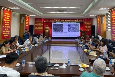 Nhiều chuyên gia đánh giá cao sự phù hợp của mô hình TOC trong tái thiết đô thị Hà Nội.