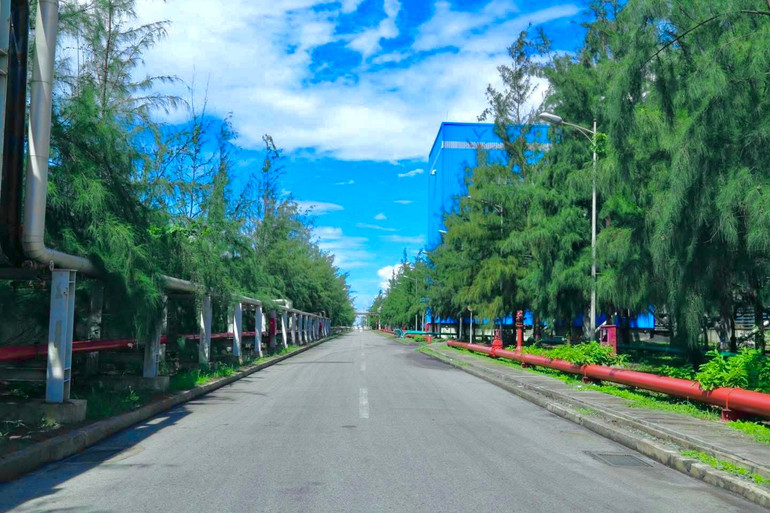 Tại mỗi nhà máy của Công ty, cây xanh chiếm trên 15% diện tích, góp phần xanh hóa không gian, giảm tiếng ồn, rung, nhiệt và bức xạ trong quá trình vận hành. (Ảnh: EVNGENCO1) z6792802336402-4664ff547a9f7a05462c3a4b9f2744732.jpg