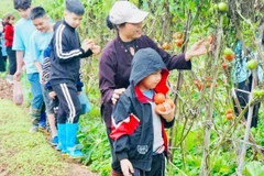 Du khách trải nghiệm một tour du lịch nông nghiệp xanh tại khu vực ven đô Hà Nội. (Ảnh: BÍCH HỒNG)