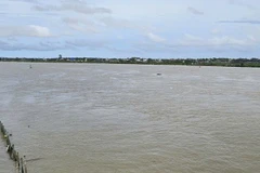 Hạ lưu sông Yên ở tỉnh Thanh Hóa sau bão số 5.