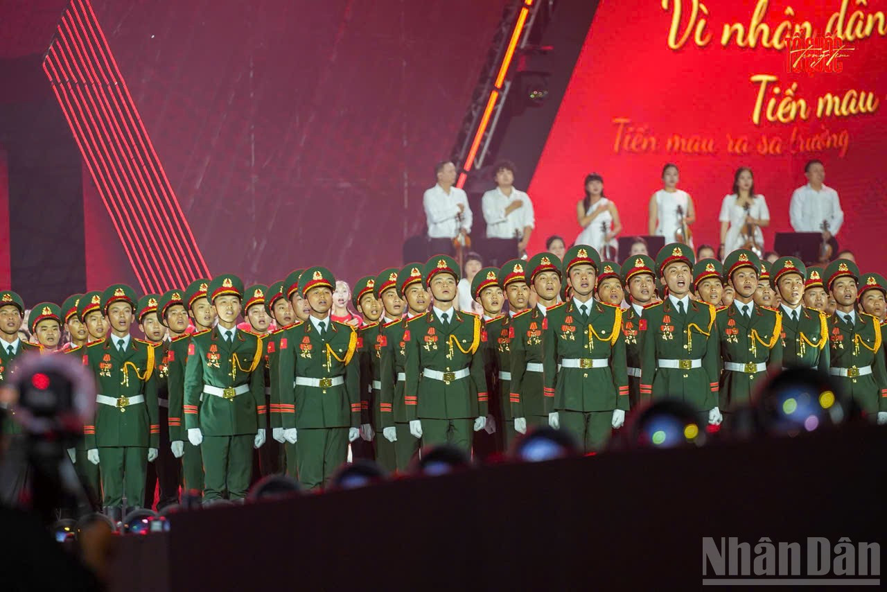 ndo_br_ct-dieubinh2.jpg