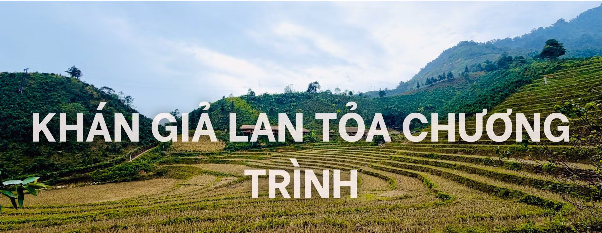 haha-titphu1.jpg