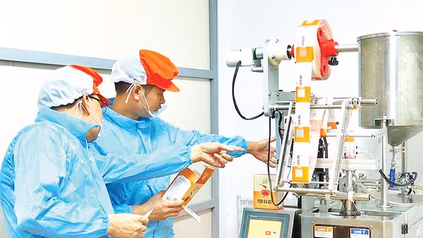 Kiểm tra tem truy xuất nguồn gốc trên dây chuyền đóng gói mật ong Ninh Bình.