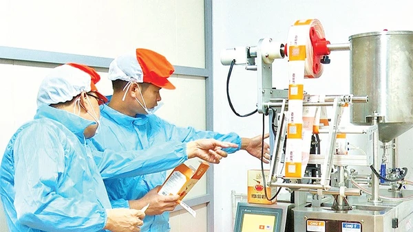 Kiểm tra tem truy xuất nguồn gốc trên dây chuyền đóng gói mật ong Ninh Bình.