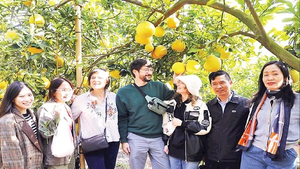 Du khách thích thú trải nghiệm tham quan, chụp ảnh mùa quả chín tại phường Chũ.