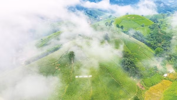 Xã Long Cốc đang tập trung hỗ trợ phát triển vùng chè gắn với du lịch sinh thái, du lịch cộng đồng.