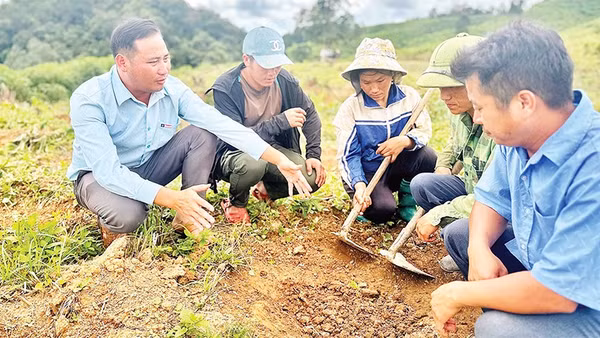 Lãnh đạo xã Tìa Dình hướng dẫn nông dân cách chăm sóc cây cà-phê được triển khai theo mô hình hỗ trợ sản xuất từ chương trình mục tiêu quốc gia.