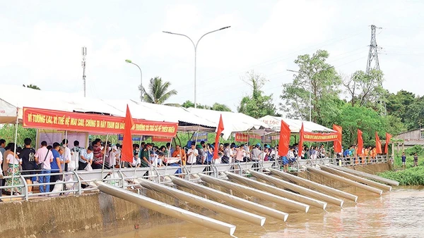 Hoạt động thả cá về tự nhiên nhằm đa dạng nguồn lợi thủy sản được tổ chức tại thành phố Cần Thơ.