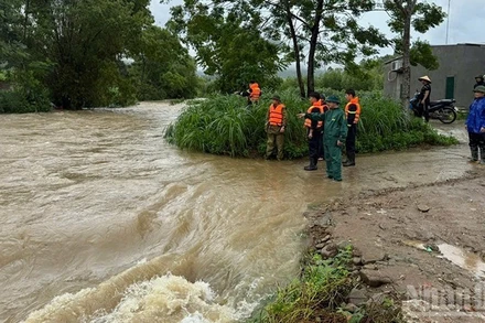 Bộ Nông nghiệp và Môi trường yêu cầu các địa phương khẩn trương hộ đê, xử lý sự cố, bảo đảm an toàn hệ thống đê điều trong mùa mưa lũ. (Ảnh: nhandan.vn)