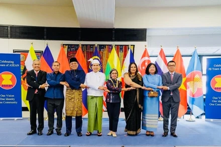 Đại sứ, Đại diện 8 nước ASEAN có cơ quan đại diện tại Vienna.