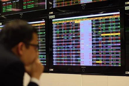 Ảnh minh họa. (Nguồn: TTXVN)