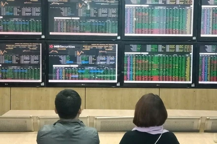 Ảnh minh họa. (Nguồn: TTXVN)