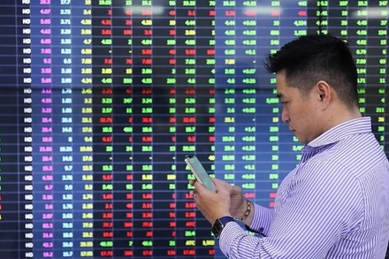 Ảnh minh họa. (Nguồn: TTXVN)