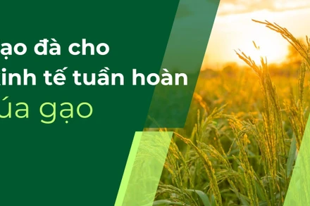 Tạo đà cho kinh tế tuần hoàn lúa gạo