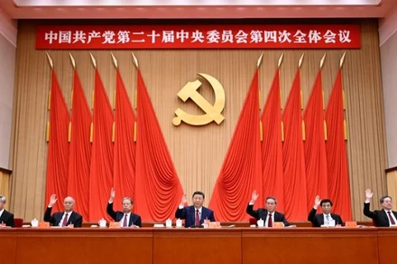Các Ủy viên Thường vụ Bộ Chính trị tại Hội nghị Trung ương 4 khóa XX của Đảng Cộng sản Trung Quốc. (Ảnh: Tân Hoa Xã)