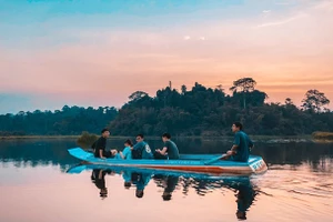 Ngắm cá sấu ở Bàu Sấu