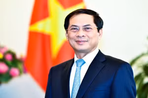 Đồng chí Bùi Thanh Sơn, Ủy viên Trung ương Đảng, Thứ trưởng Thường trực Bộ Ngoại giao. (Ảnh: Bộ Ngoại giao)