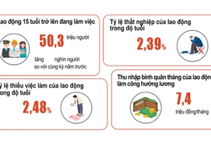 Một số chỉ tiêu về lao động-việc làm sáu tháng đầu năm 2022 (Ảnh: GSO).