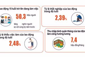 Một số chỉ tiêu về lao động-việc làm sáu tháng đầu năm 2022 (Ảnh: GSO).