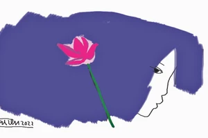 Bông sen vừa nở