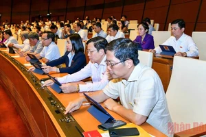 Đại biểu Quốc hội bấm nút biểu quyết thông qua dự án Luật Điện ảnh (sửa đổi), chiều 15/6. (Ảnh: LINH KHOA NGUYÊN)