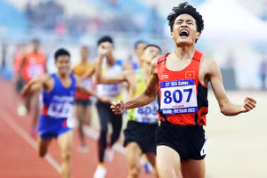 Tác phẩm đoạt giải nhất.