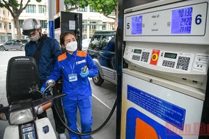 Ảnh minh họa: Thành Đạt.