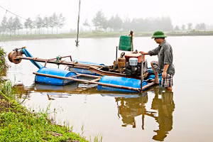 Công việc thường ngày bền bỉ và bình dị trên đồng nước quê hương. Ảnh: VĂN MAI