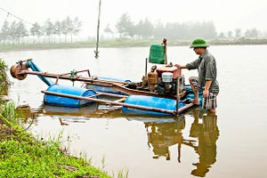 Công việc thường ngày bền bỉ và bình dị trên đồng nước quê hương. Ảnh: VĂN MAI