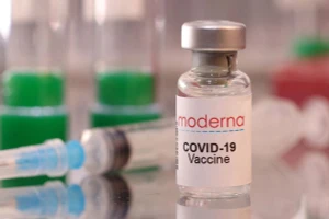 Vaccine ngừa Covid-19 của Moderna. Ảnh: Reuters.