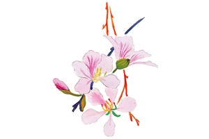 Người đi chẳng nói